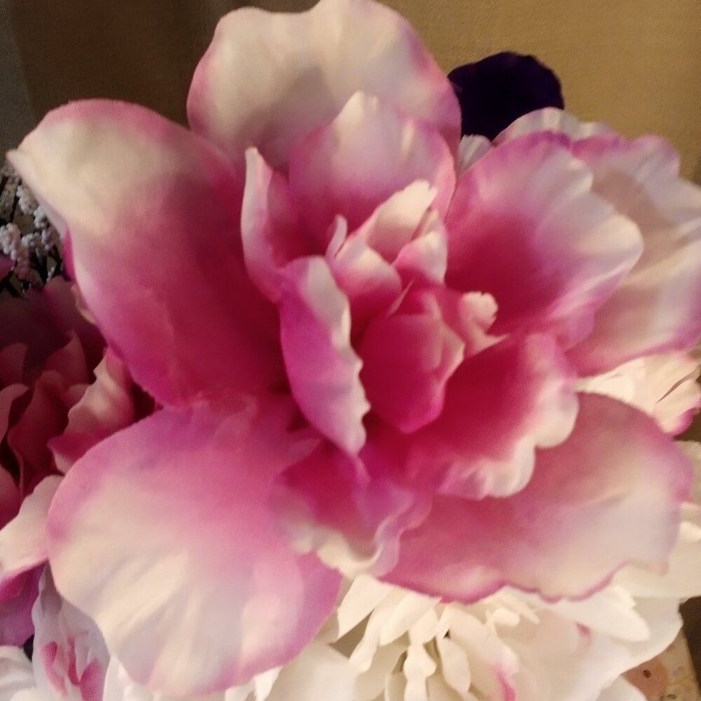 Spring  Time - Picture 3 of 8